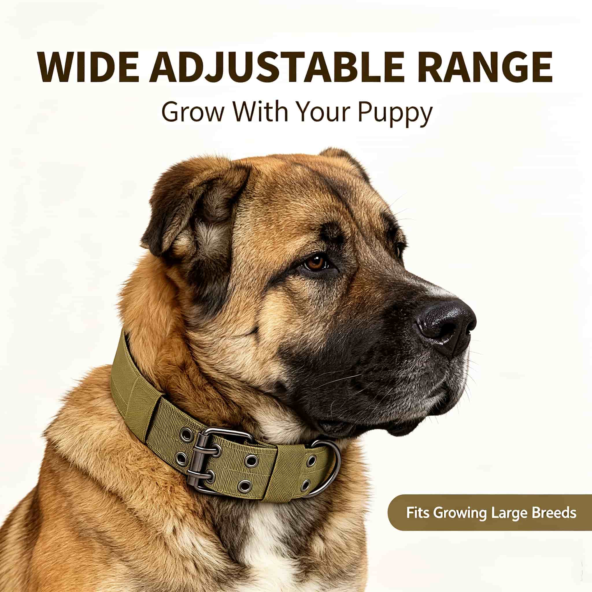 Outdoor Hunting Dog Collar - Kamuflażowa taktyczna obroża dla psa, wytrzymała