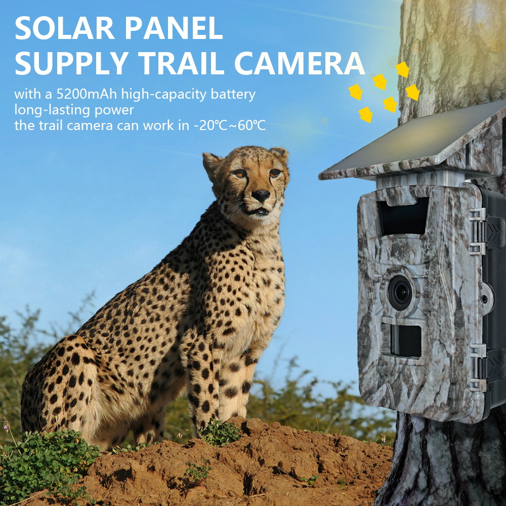 Kamera myśliwska Solar WiFi 4K – Outdoor Hunting Photography recenzja i cena