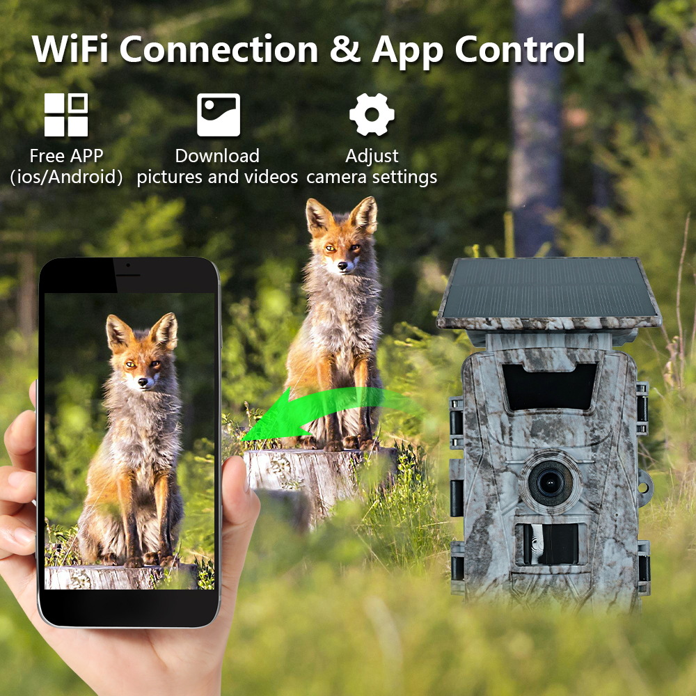 Kamera myśliwska Solar WiFi 4K – Outdoor Hunting Photography recenzja i cena
