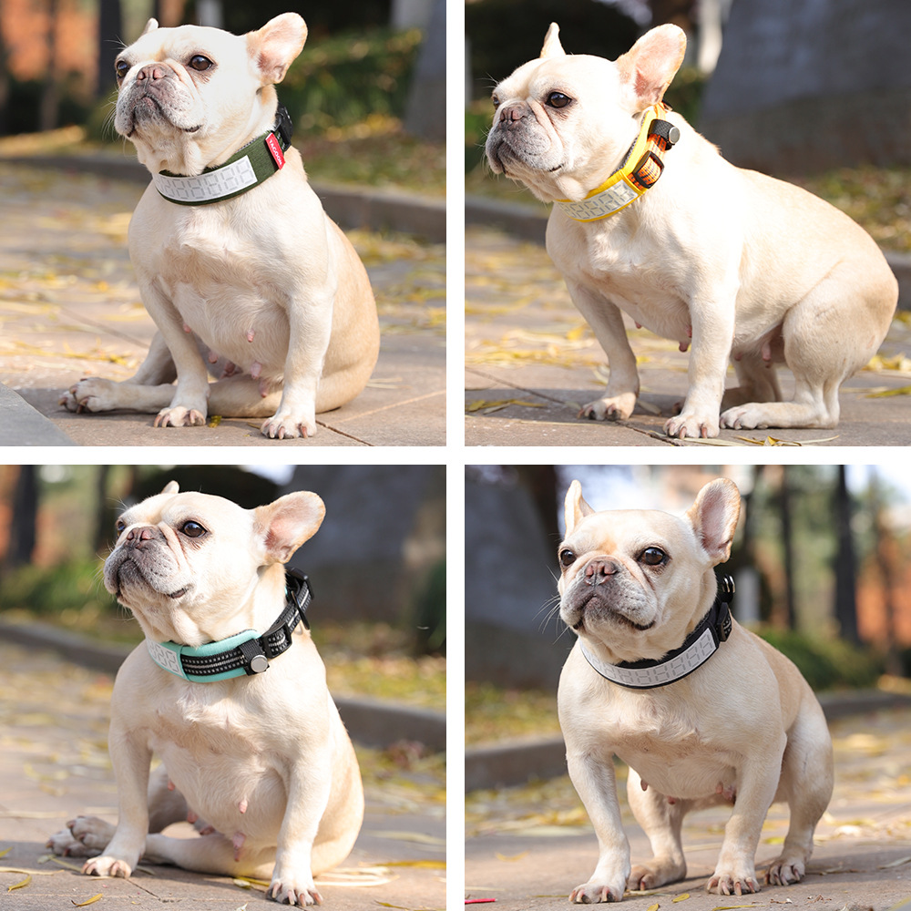 Odblaskowa obroża dla dużych p – Outdoor Hunting Dog Collar recenzja i cena