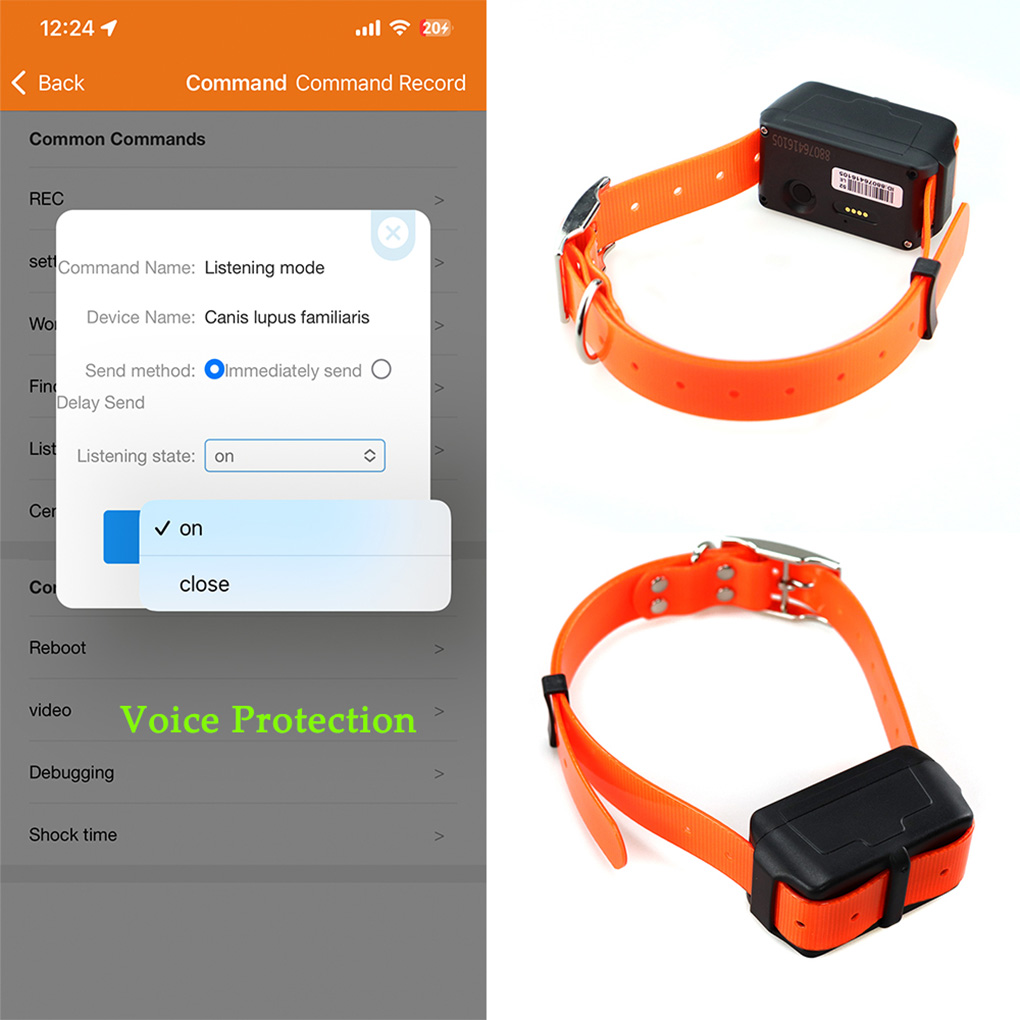 CY09A Przenośny Lokalizator GP – Outdoor Hunting Dog Collar recenzja i cena