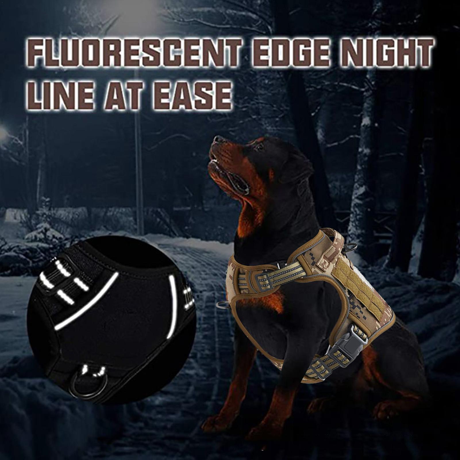Szelki dla psa z metalową klam – Outdoor Hunting Dog Collar recenzja i cena