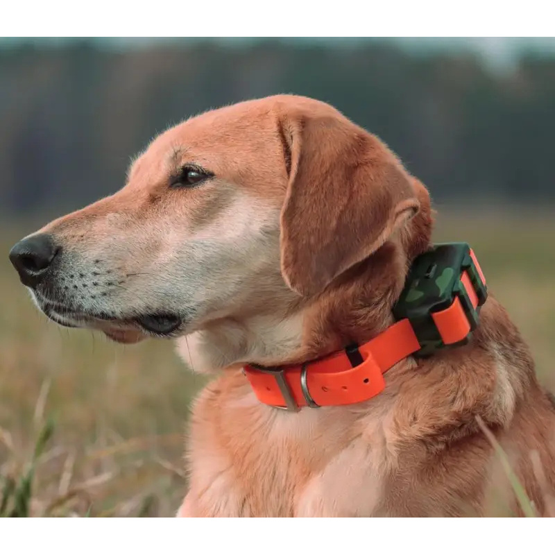 ICAR IK122M 2000mAh Obroża z l – Outdoor Hunting Dog Collar recenzja i cena