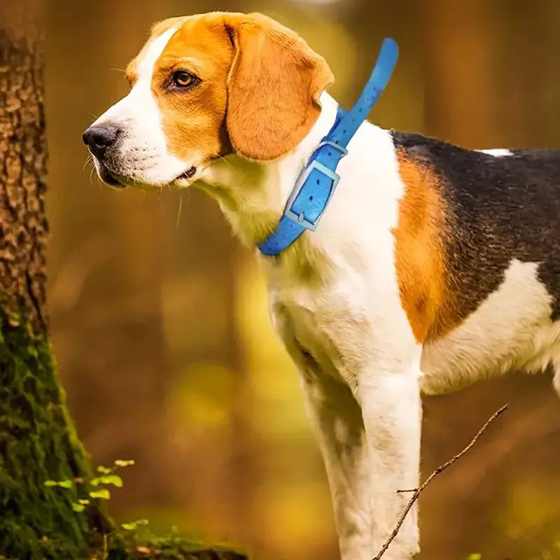 Obroża dla psa z TPU do użytku – Outdoor Hunting Dog Collar recenzja i cena
