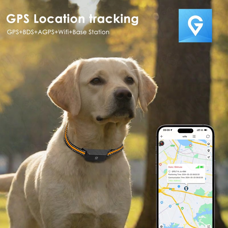 Lokalizator GPS dla psa, urząd – Outdoor Hunting Dog Collar recenzja i cena
